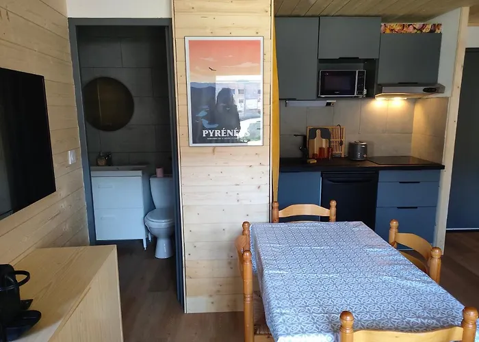 Appartement Confort Et Style En Pied De Piste